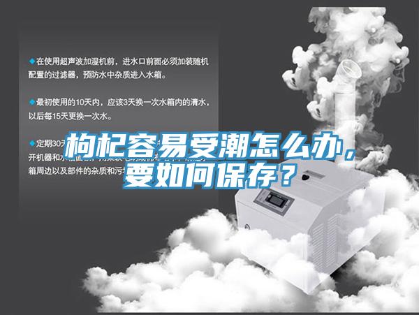 枸杞容易受潮怎么辦，要如何保存？