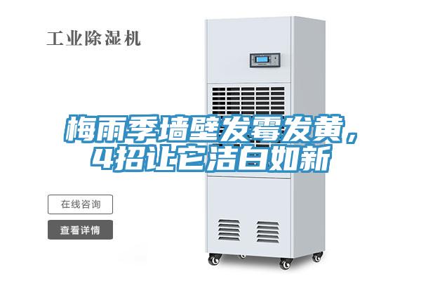 梅雨季墻壁發(fā)霉發(fā)黃，4招讓它潔白如新
