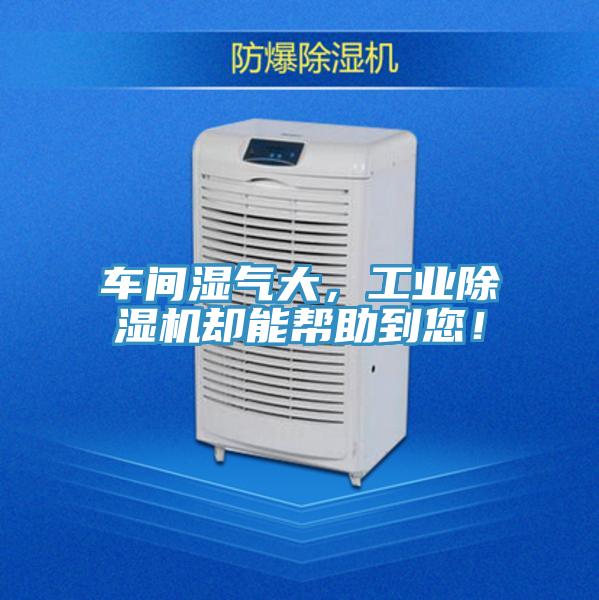 車間濕氣大，工業(yè)除濕機(jī)卻能幫助到您！
