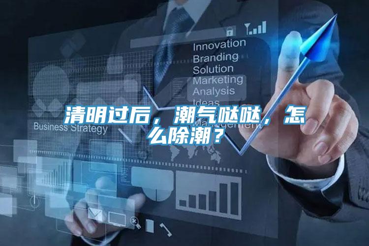 清明過后，潮氣噠噠，怎么除潮？