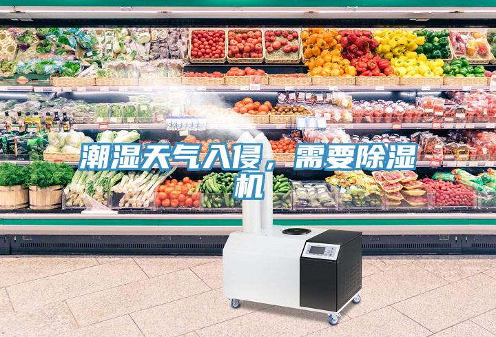 潮濕天氣入侵，需要除濕機