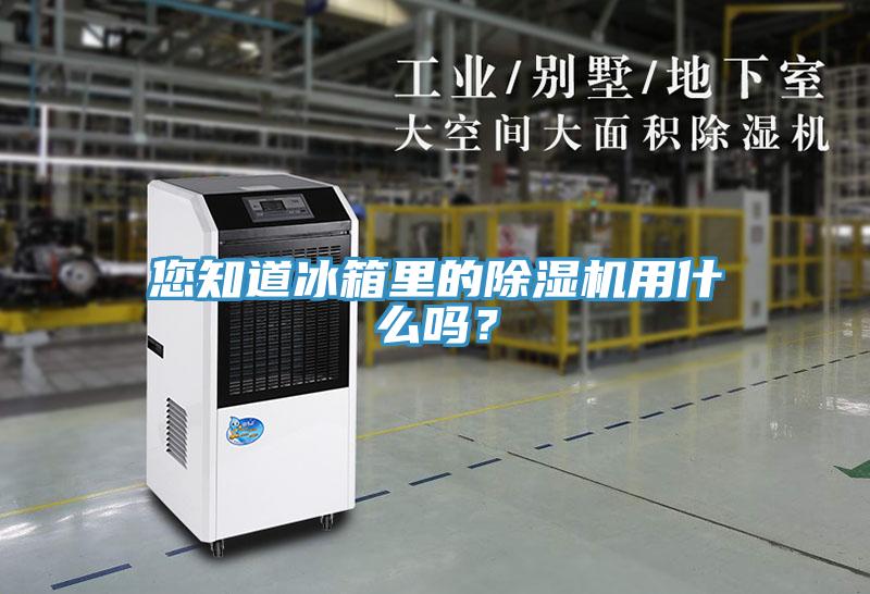 您知道冰箱里的除濕機(jī)用什么嗎？