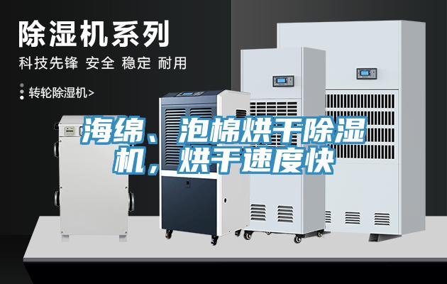 海綿、泡棉烘干除濕機(jī)，烘干速度快