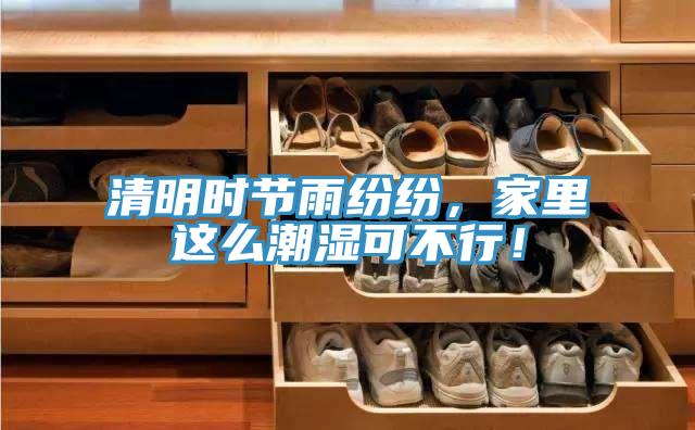 清明時(shí)節(jié)雨紛紛，家里這么潮濕可不行！