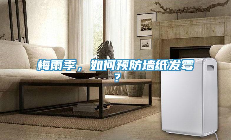 梅雨季,如何預(yù)防墻紙發(fā)霉?