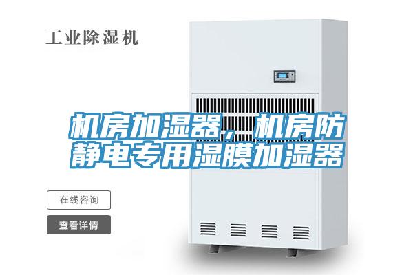 機(jī)房加濕器，機(jī)房防靜電專用濕膜加濕器