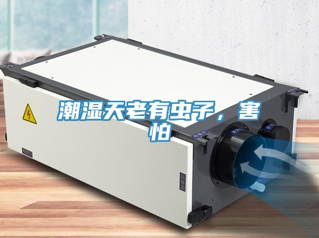 潮濕天老有蟲子，害怕