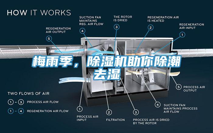 梅雨季，除濕機助你除潮去濕