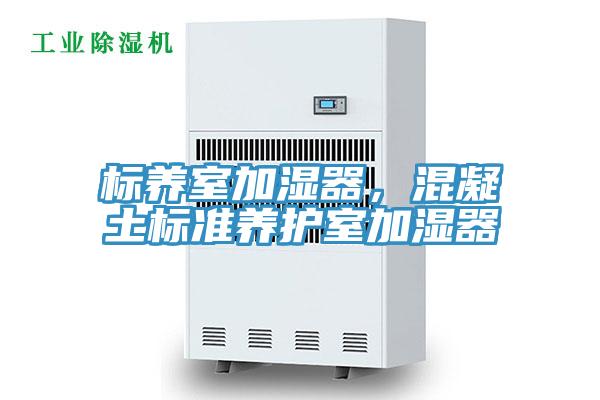 標(biāo)養(yǎng)室加濕器，混凝土標(biāo)準(zhǔn)養(yǎng)護(hù)室加濕器