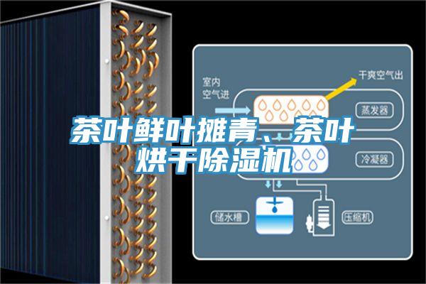 茶葉鮮葉攤青、茶葉烘干除濕機
