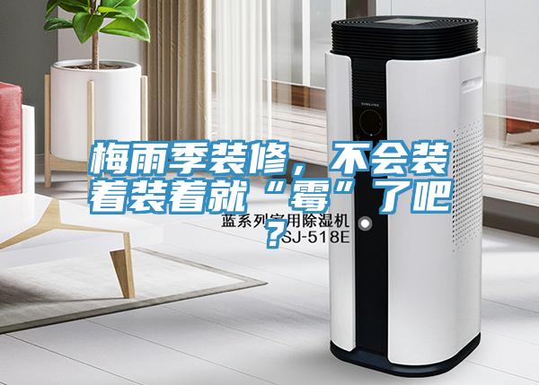 梅雨季裝修，不會裝著裝著就“霉”了吧？