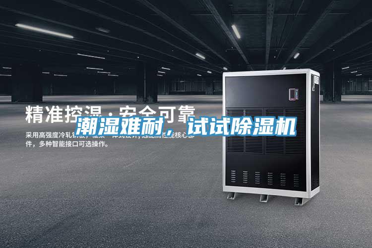 潮濕難耐，試試除濕機(jī)