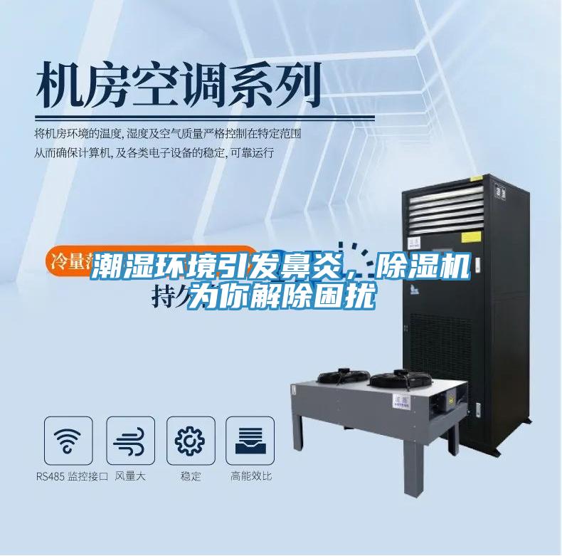 潮濕環(huán)境引發(fā)鼻炎，除濕機為你解除困擾