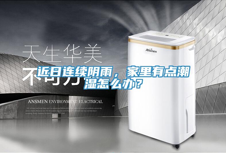 近日連續(xù)陰雨，家里有點潮濕怎么辦？