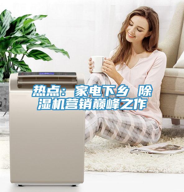 熱點(diǎn)：家電下鄉(xiāng) 除濕機(jī)營(yíng)銷(xiāo)巔峰之作
