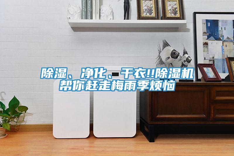 除濕、凈化、干衣!!除濕機幫你趕走梅雨季煩惱