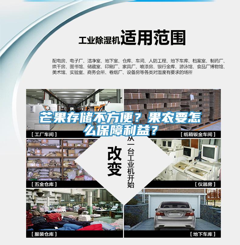 芒果存儲不方便？果農(nóng)要怎么保障利益？