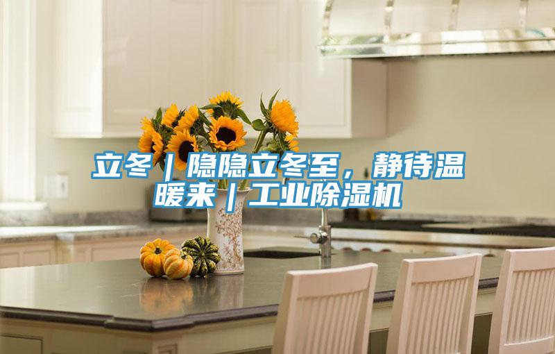 立冬｜隱隱立冬至，靜待溫暖來｜工業(yè)除濕機(jī)