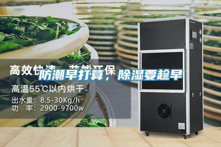 防潮早打算，除濕要趁早