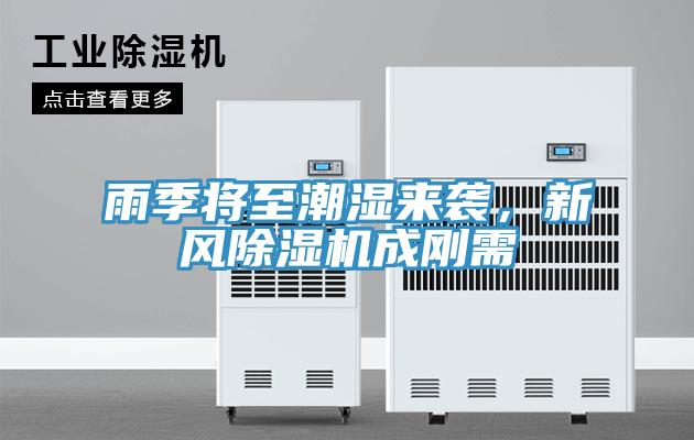 雨季將至潮濕來襲，新風除濕機成剛需