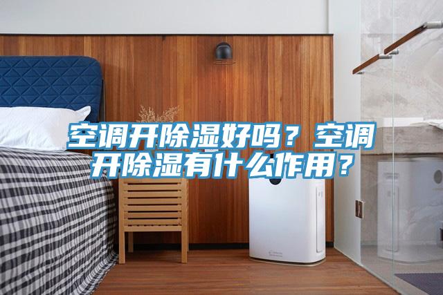 空調(diào)開(kāi)除濕好嗎？空調(diào)開(kāi)除濕有什么作用？