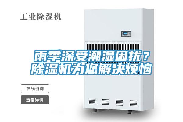 雨季深受潮濕困擾？除濕機為您解決煩惱