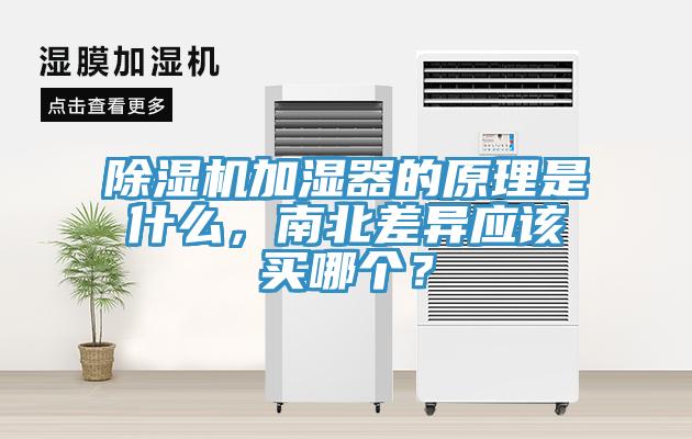 除濕機(jī)加濕器的原理是什么，南北差異應(yīng)該買哪個(gè)？