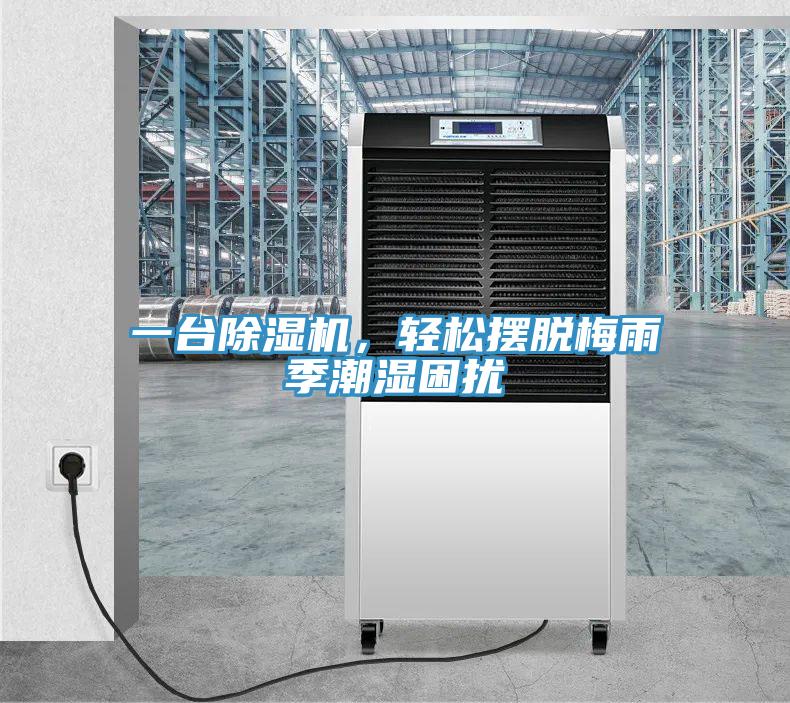 一臺除濕機(jī)，輕松擺脫梅雨季潮濕困擾