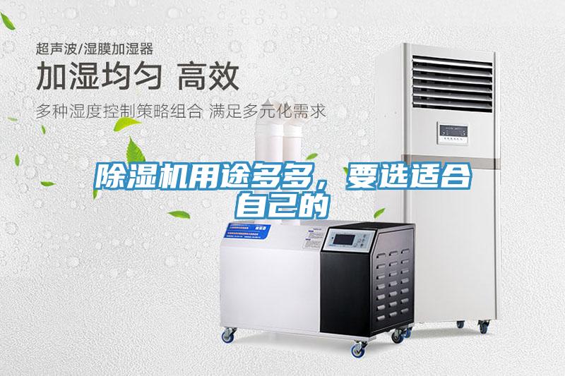 除濕機用途多多，要選適合自己的