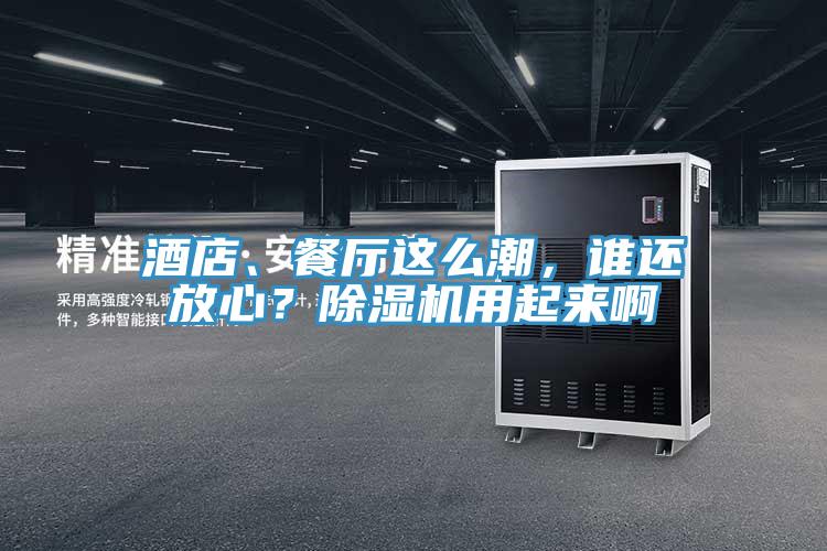 酒店、餐廳這么潮，誰還放心？除濕機用起來啊