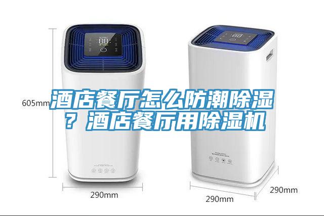 酒店餐廳怎么防潮除濕？酒店餐廳用除濕機(jī)