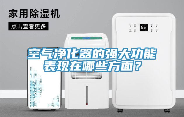 空氣凈化器的強大功能表現(xiàn)在哪些方面？