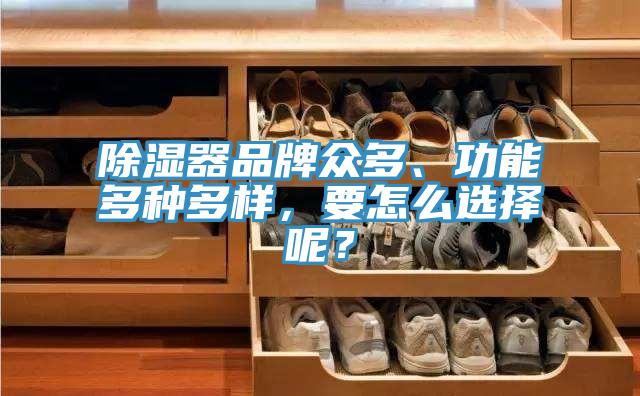 除濕器品牌眾多、功能多種多樣，要怎么選擇呢？