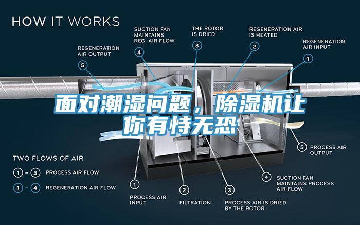 面對潮濕問題，除濕機讓你有恃無恐