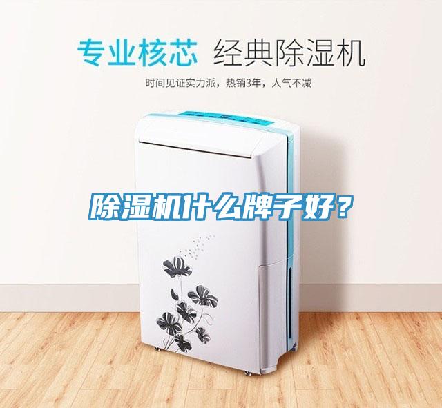 除濕機(jī)什么牌子好？