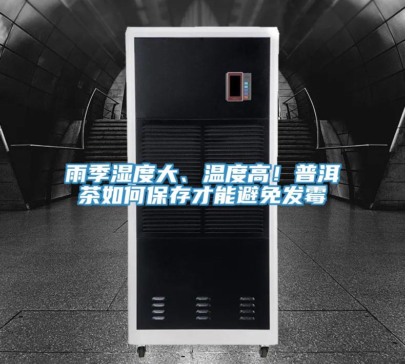 雨季濕度大、溫度高！普洱茶如何保存才能避免發(fā)霉