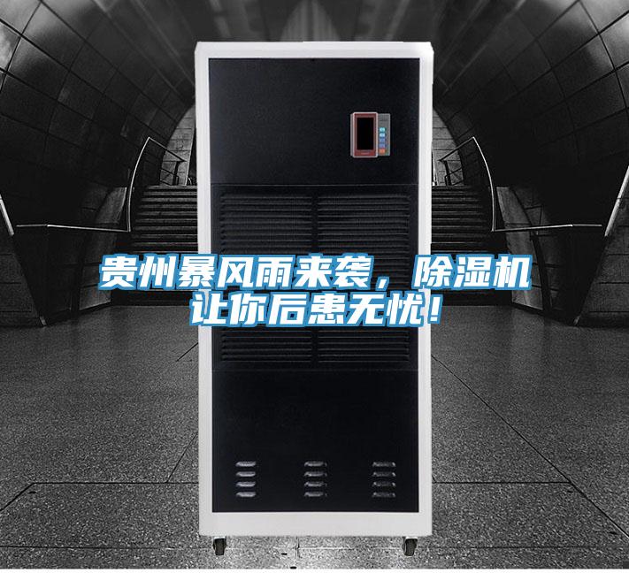 貴州暴風雨來襲，除濕機讓你后患無憂！