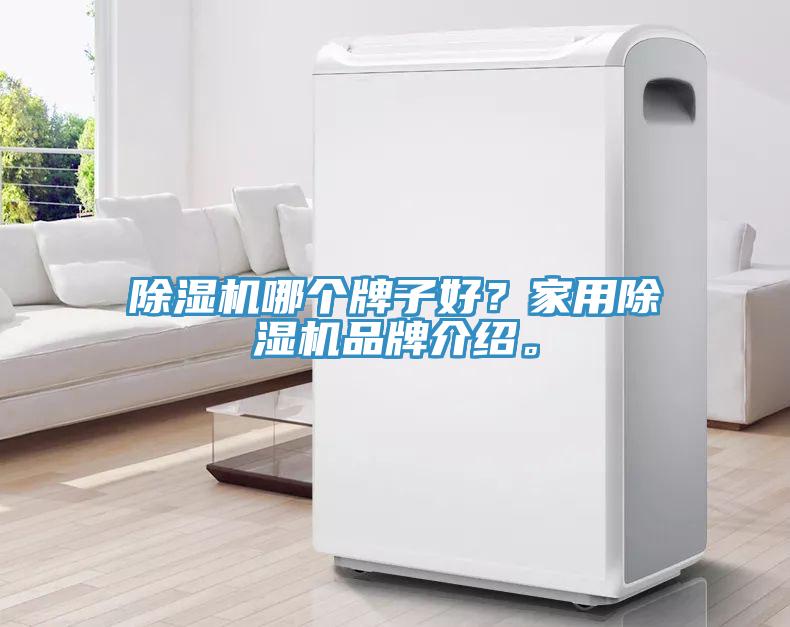 除濕機哪個牌子好？家用除濕機品牌介紹。