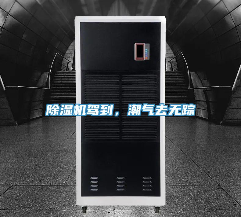 除濕機駕到，潮氣去無蹤