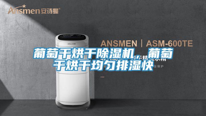 葡萄干烘干除濕機，葡萄干烘干均勻排濕快