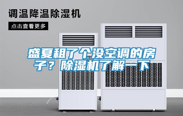 盛夏租了個(gè)沒空調(diào)的房子？除濕機(jī)了解一下