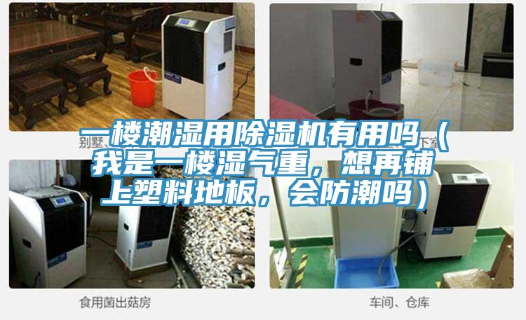 一樓潮濕用除濕機(jī)有用嗎（我是一樓濕氣重，想再鋪上塑料地板，會防潮嗎）