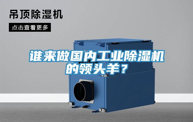 誰來做國內(nèi)工業(yè)除濕機的領(lǐng)頭羊？