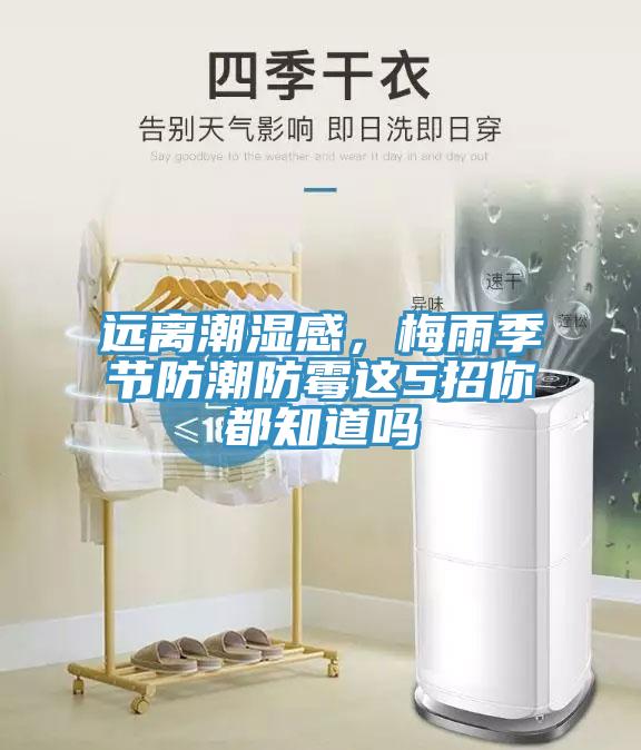 遠離潮濕感，梅雨季節(jié)防潮防霉這5招你都知道嗎