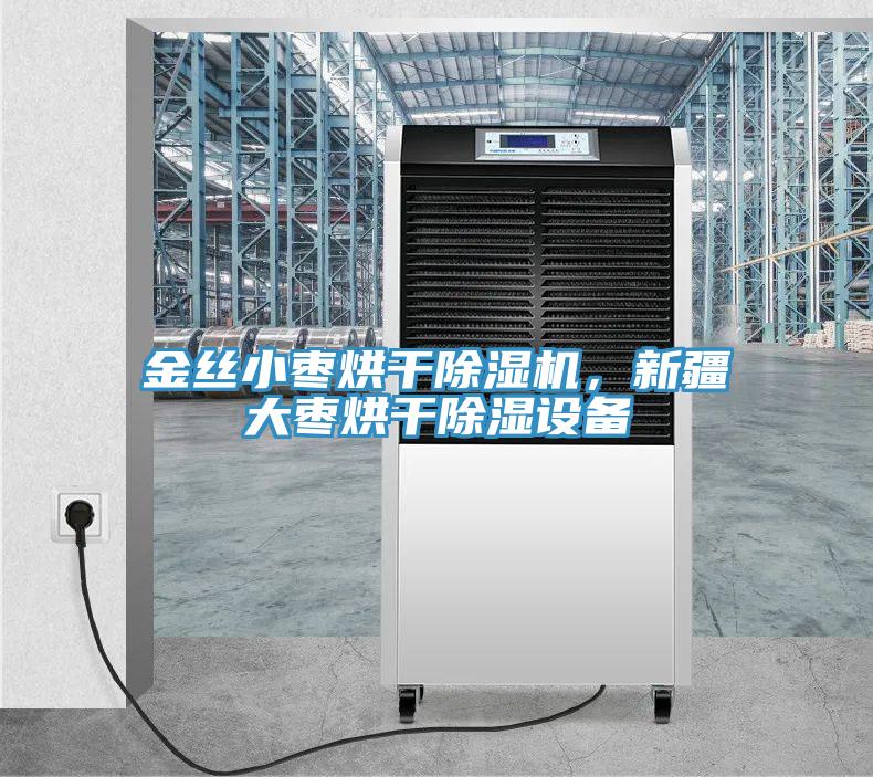 金絲小棗烘干除濕機，新疆大棗烘干除濕設備
