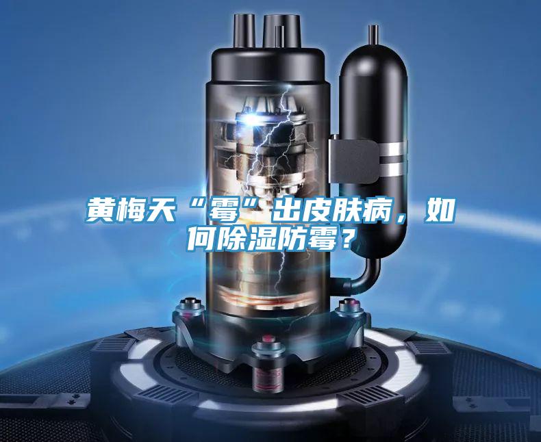 黃梅天“霉”出皮膚病，如何除濕防霉？