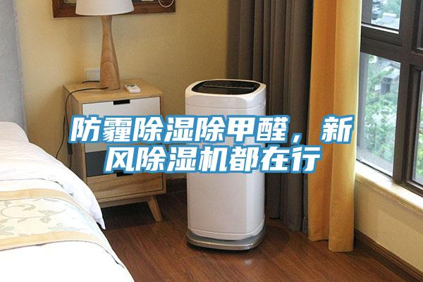 防霾除濕除甲醛，新風(fēng)除濕機都在行