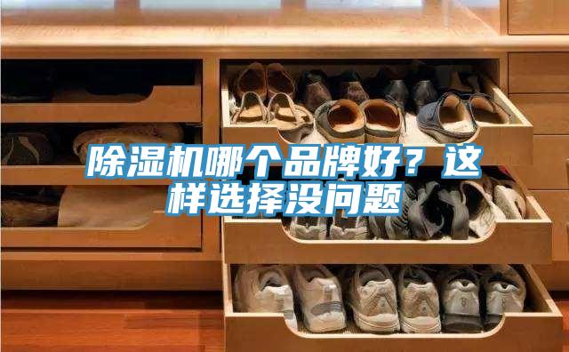 除濕機哪個品牌好？這樣選擇沒問題