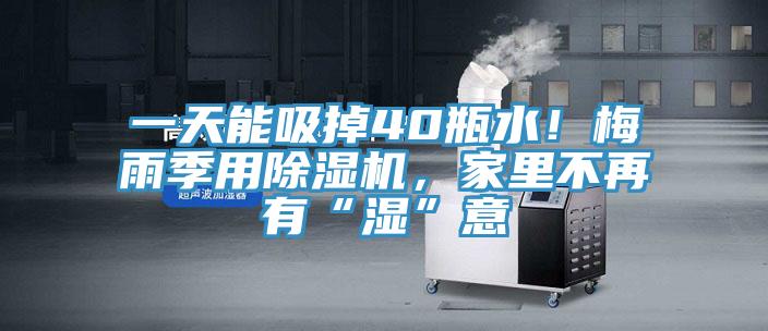 一天能吸掉40瓶水！梅雨季用除濕機(jī)，家里不再有“濕”意
