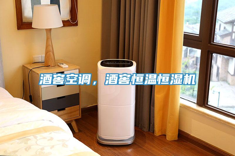 酒窖空調(diào)，酒窖恒溫恒濕機(jī)